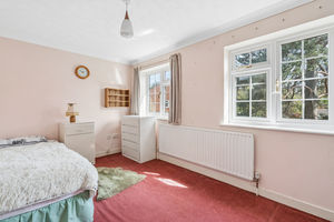 Photo 12- click for photo gallery